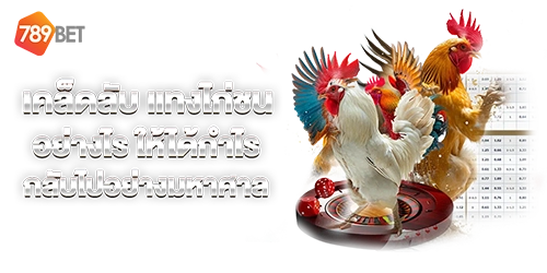 ไก่ชนออนไลน์